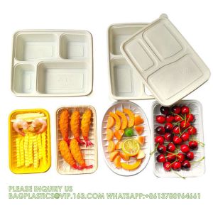 Disposable Biodegradable Sugarcane Bagasse Pulp Food Container Take Away Lunch