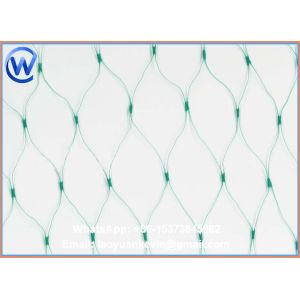 Wholesale Anti-Bird Netting 6 x 16 Feet - Protect Fruit Trees, Garden - 2 x 5 Meters from china suppliers