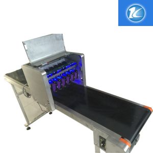 Wholesale Computer Control Egg Printing Machine With 600DPI High Vertical Resolution Rate from china suppliers
