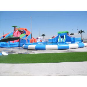 Dinosaur Theme Inflatable Amusement Equipment Park Auatic Dual Kds Pools