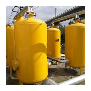 Effective And Biogas Purification Plant With Internal Treatment Anti Corrosion