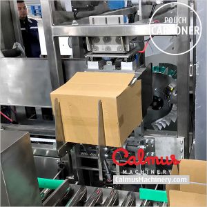 Doypack Pouch Sorter and Case Packer System