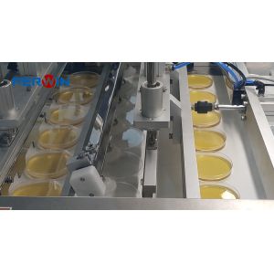 Efficient Petri Dish Filler With Dish Separating Mechanism And Servo Technology