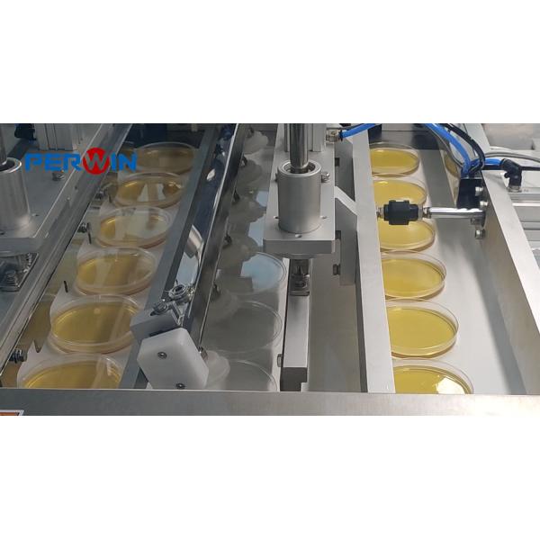 Quality Highly Efficient Petri Dish Filling Machine with HMI and Servo Technology Cap Closure for sale