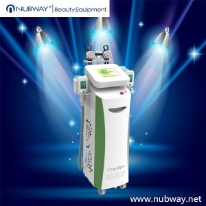 Wholesale Cryolipolysis Machine / cryolipolysis Slimming Machine With Optional Lipo Laser Pads from china suppliers