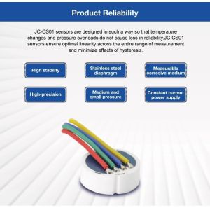 2 Bar - 400 Bar Flush Diaphragm Piezoresistive Ceramic Pressure Sensor