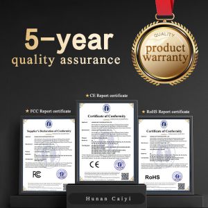 Stage P2 P3 P3.91 P5 Indoor LED Video Wall Screen with 1920x1080 Resolution and