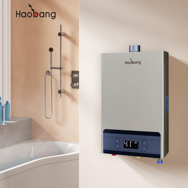 Quality Energy-Saving Forced Exhaust Gas Water Heater With Gas Heating Method And Free Spare Part Offer for sale