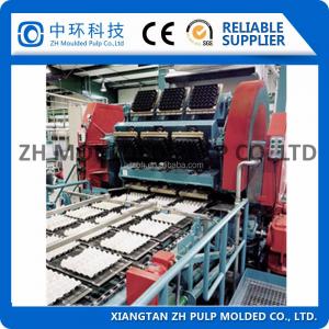 Wholesale Large Output Pulp Egg Tray Machine 100kw  Molding Rotary Fully Automatic from china suppliers
