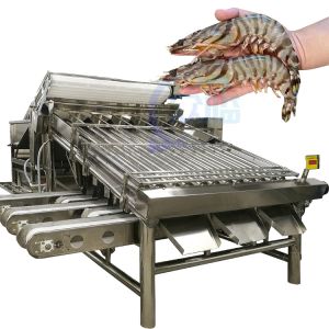 Efficient fish processing and sorting machine Fish size and specification