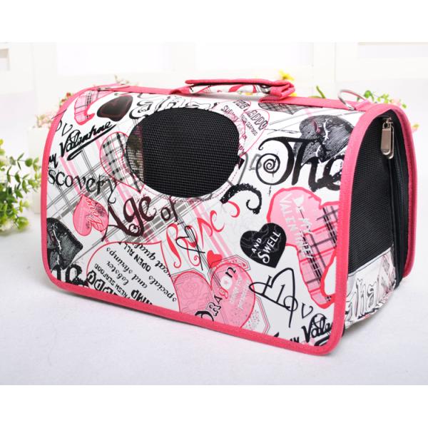 Fashion Pet Backpack Carrier
