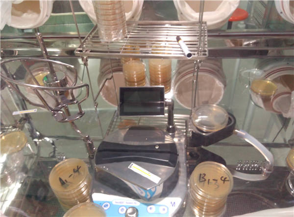 Vhp Sterilization Pharmaceutical Isolators For Cosmetic Filter Unit Clean Rooms