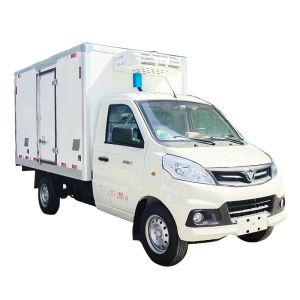 Wholesale Fresh and Frozen Transport Foton V13m Refrigerated Truck with 4100*2100*2100 Box Dimensions from china suppliers