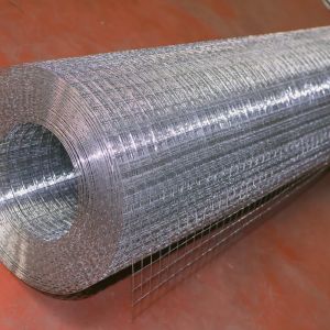 1/2"X1/2" Galvanized Welded Wire Mesh Rolls For Garden Fence