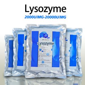 Wholesale Light Yellow Powder Lysozyme Enzyme 2000U/MG Soluble In Water from china suppliers