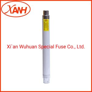 Overcurrent Protection 24kv Fuse Xrnt1 High Voltage Ceramic Cartridge Fuse