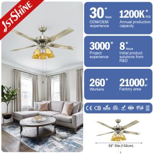 110V Metal Blade Ceiling Fan With Light 52 Inch And AC Motor