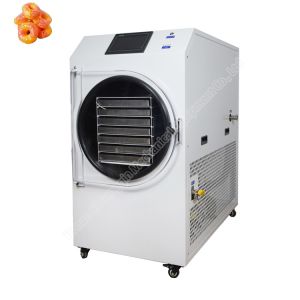4-6kg/Batch Freeze Dried Fruit Machine Home Freeze Dryer Machine Food Lyophilize