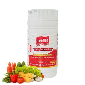 Best Boost Plant Growth Premium Nutrient Solutions Fertilizer