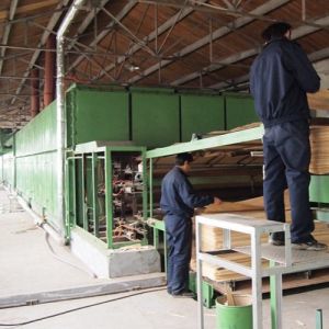 Reconstituted Decorative Natural Ash Wood Veneer WA-X806 Fineline Grain