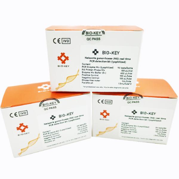 Quality Lyophilized Neisseria Gonorrhoeae NG Real Time PCR Detection Kit 96 Tests/Kit for sale