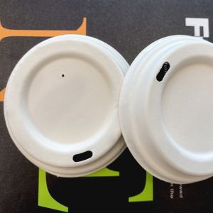 100% Biodegradable Sugarcane Pulp Disposable Cups With Lids
