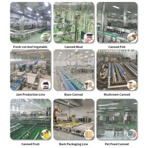 LWT Cucumber Slice Can specialized Precision Filling Machine with High