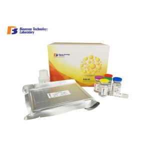 Wholesale ELISA Kit for Human High Sensitivity and Specificity AD from china suppliers