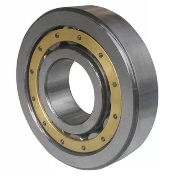 Quality N1016ECM Full Complement C4 Single Row Spherical Roller Bearing for sale