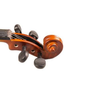 Free Shipping Stradivari Cremonese 1716 Model Violin FPVN01 with Canvas Case and