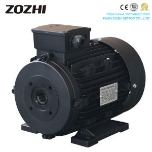 China ZOZHI  7.5HP/5.5KW Hollow Shaft Motor 380V Three Phase 1400RPM With 24MM Female Shaft And IEC Frame 112 on sale