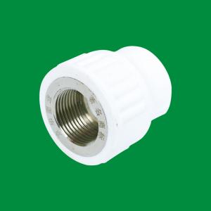 Factory Customizable Designed PPR Outside Wire Coupling Fittings Support