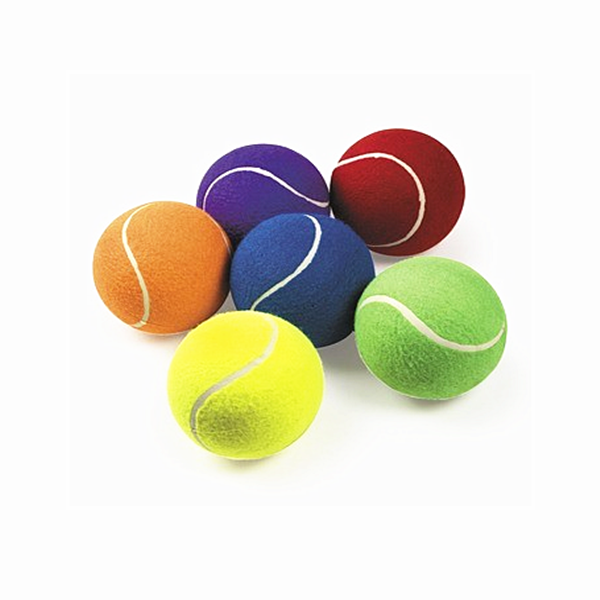 Pet toys for dogs