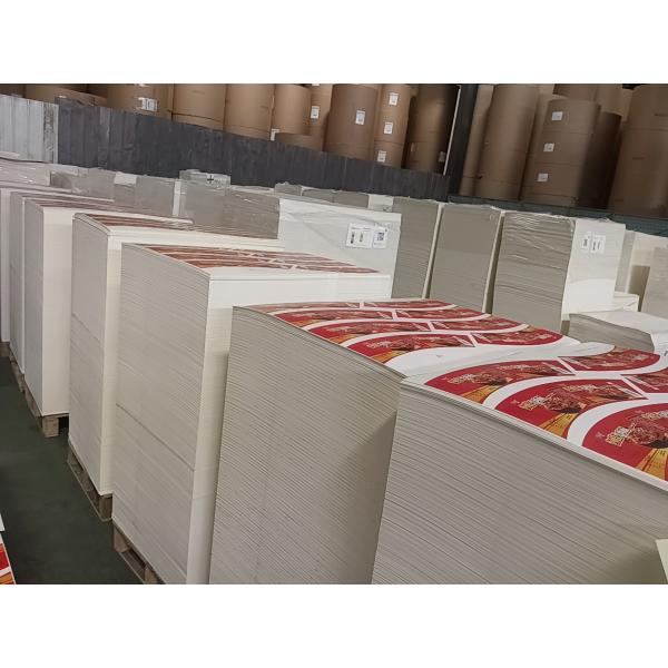 Film Laminated Waterproof Cup Paper Sheet 150-320gsm PE Coated For Flexo Offset