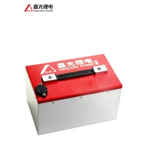 48V 20AH Electric Vehicles Stacker Lithium Ion Battery