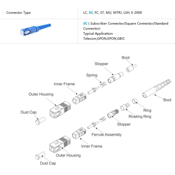 SC UPC 12 Fibers G.652.D Single Mode Unjacketed Color-Coded FOPT 21F12111U-2(7242205)SM(OS2)G.652.D/G.657.A1/G.657.A2