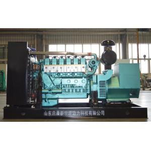 Biogas Generator for Biogas Plant Power Generation