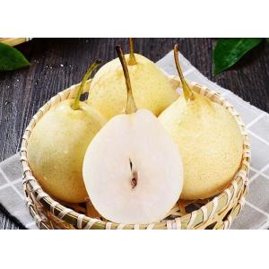HACCP Yellow Chinese White Pear Juice Pome Fruit