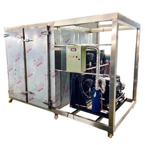 SS304 IQF Individual Quick Freezing Machine For Fries Potato Chips