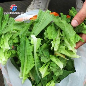 30KG Leaf vegetable dehydrator commercial fruit and vegetable dehydrator small