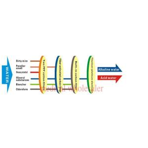 Portable Alkaline Water Ionizer With 5 / 3 Electrode Plates
