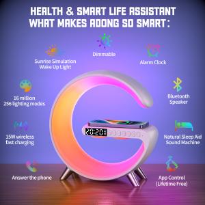 5V USB Adjustable Brightness RGBIC LED Lights With Bluetooth Speaker Wireless