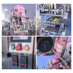 Vertical Automatic Sachet Packing Machine Multifunction Tomato Filling Ketchup