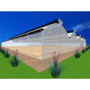 7.5M Height Single Span Greenhouse 300sqm Customized Tropical Green House