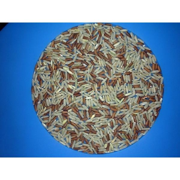 Remote Control Rice Color Sorter AI Variable Light Control Technology