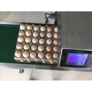 Cycle Move Nozzle And Entire Tray Egg Printing Machine For Big Coder