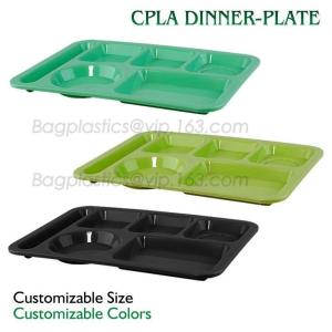 School use high quality biodegradable lunch plate for students, children plate