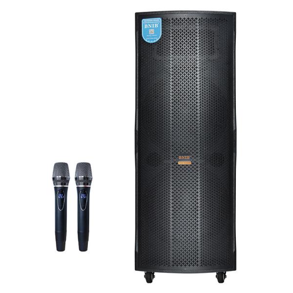 15 Inch Surround Sound Portable Speaker Remote Control Subwoofer Bluetooth