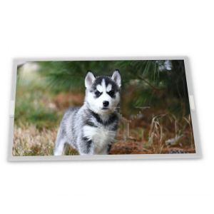 Wholesale SP10Q010-T LCD 3.8-Inch WLED LCD Display Module with 320*240 Resolution LCD Modules from china suppliers