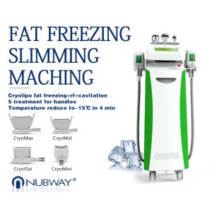 Wholesale Newest-designed!!! The most featured Cryolipolysis Slimming Apparatus Green Vertical from china suppliers